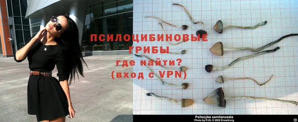 не бодяженный Верхний Тагил