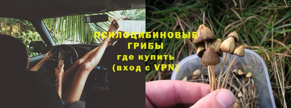 гидропоника Верея