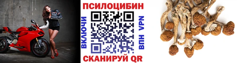 Галлюциногенные грибы Magic Shrooms  Канск 